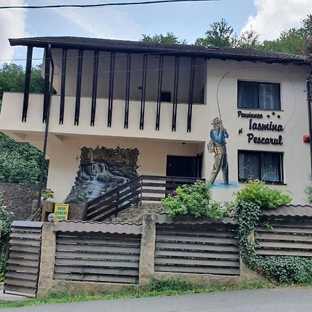 Pensiunea Iasmina Si Pescarul Călimăneşti Extérieur photo
