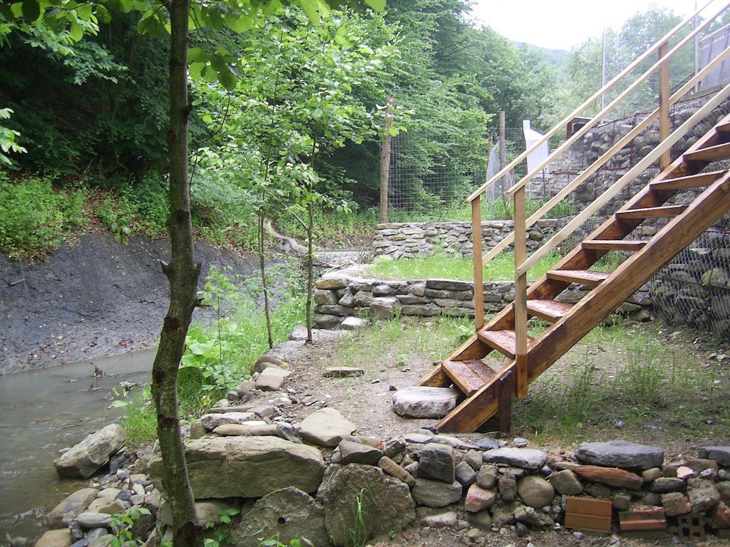 Pensiunea Iasmina Si Pescarul Călimăneşti Extérieur photo