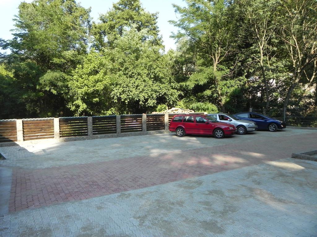 Pensiunea Iasmina Si Pescarul Călimăneşti Extérieur photo